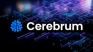 Cerebrum IQ: Deceptive Practices and Growing Financial Controversies