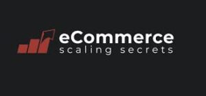 Ecomscaling.org: A Web of Risk and Deception in the E-Commerce Mirage